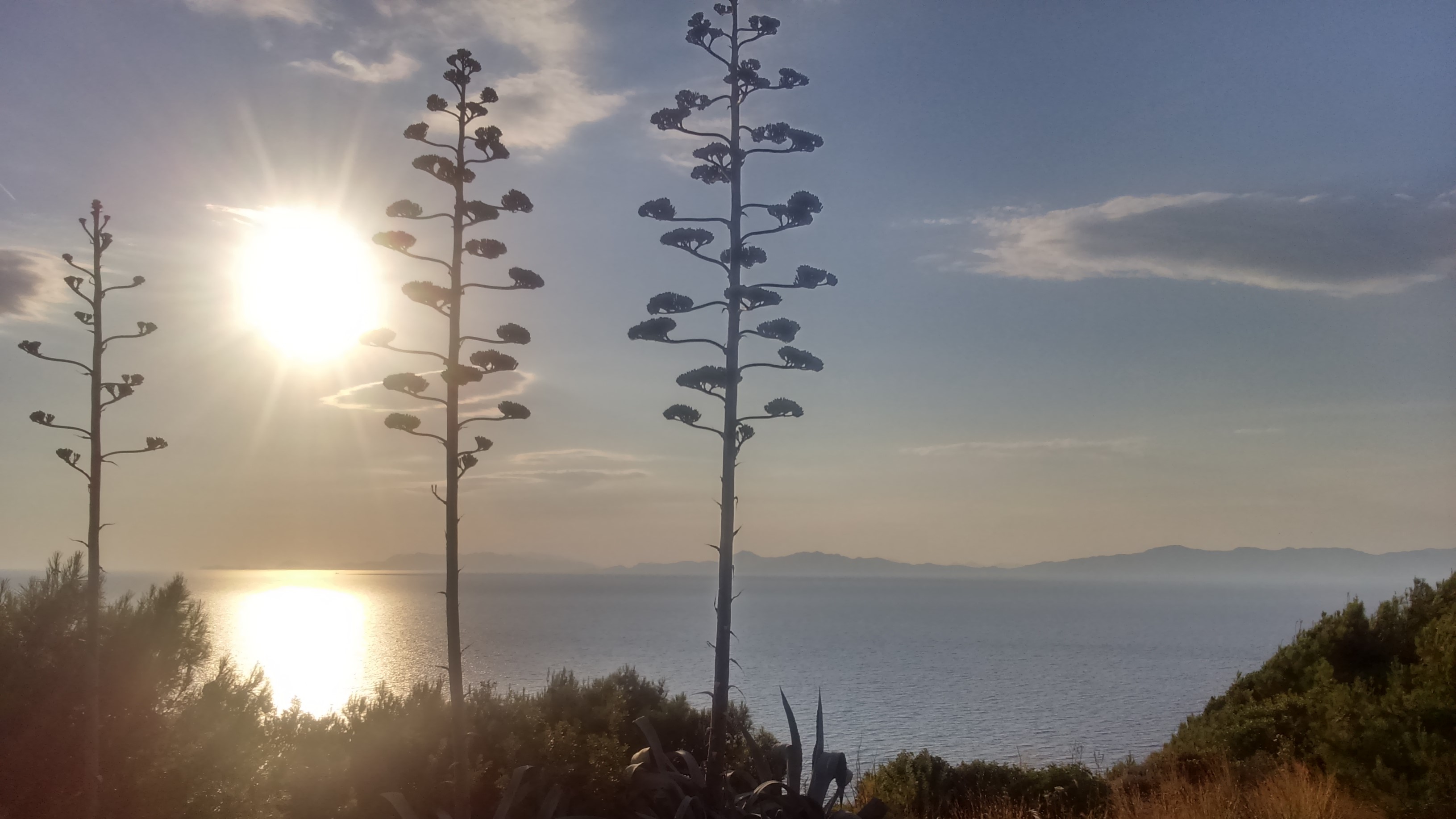 RhodesIsland
